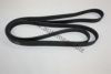 FORD 1376084 V-Ribbed Belts